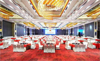 武汉商办楼里的特殊会议 一场别开生面的“送终机”见面会